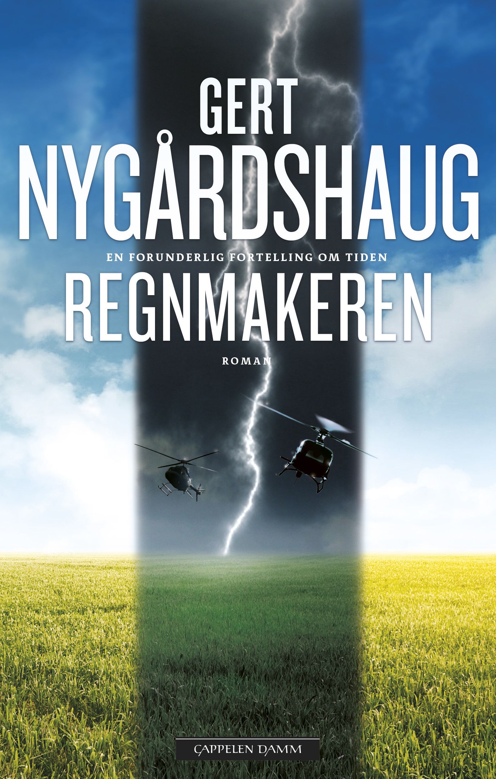 Regnmakeren - roman