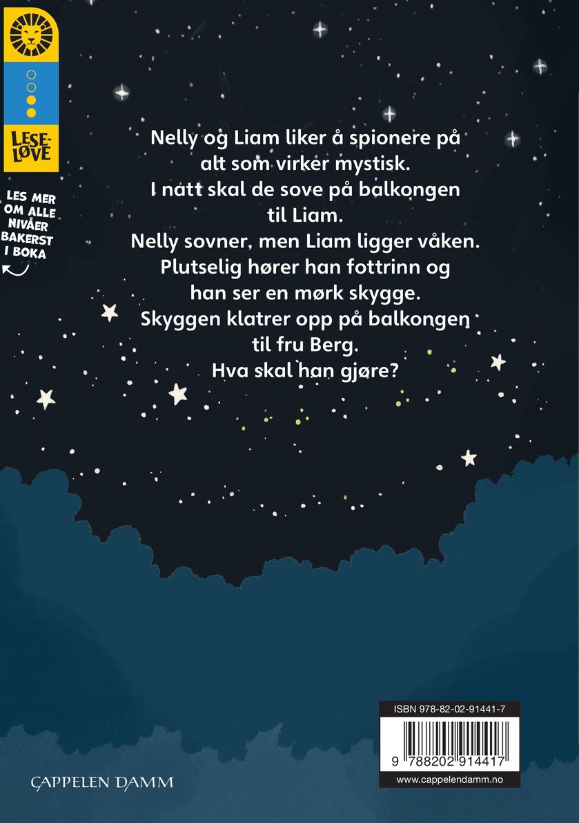 Spioner i mørket