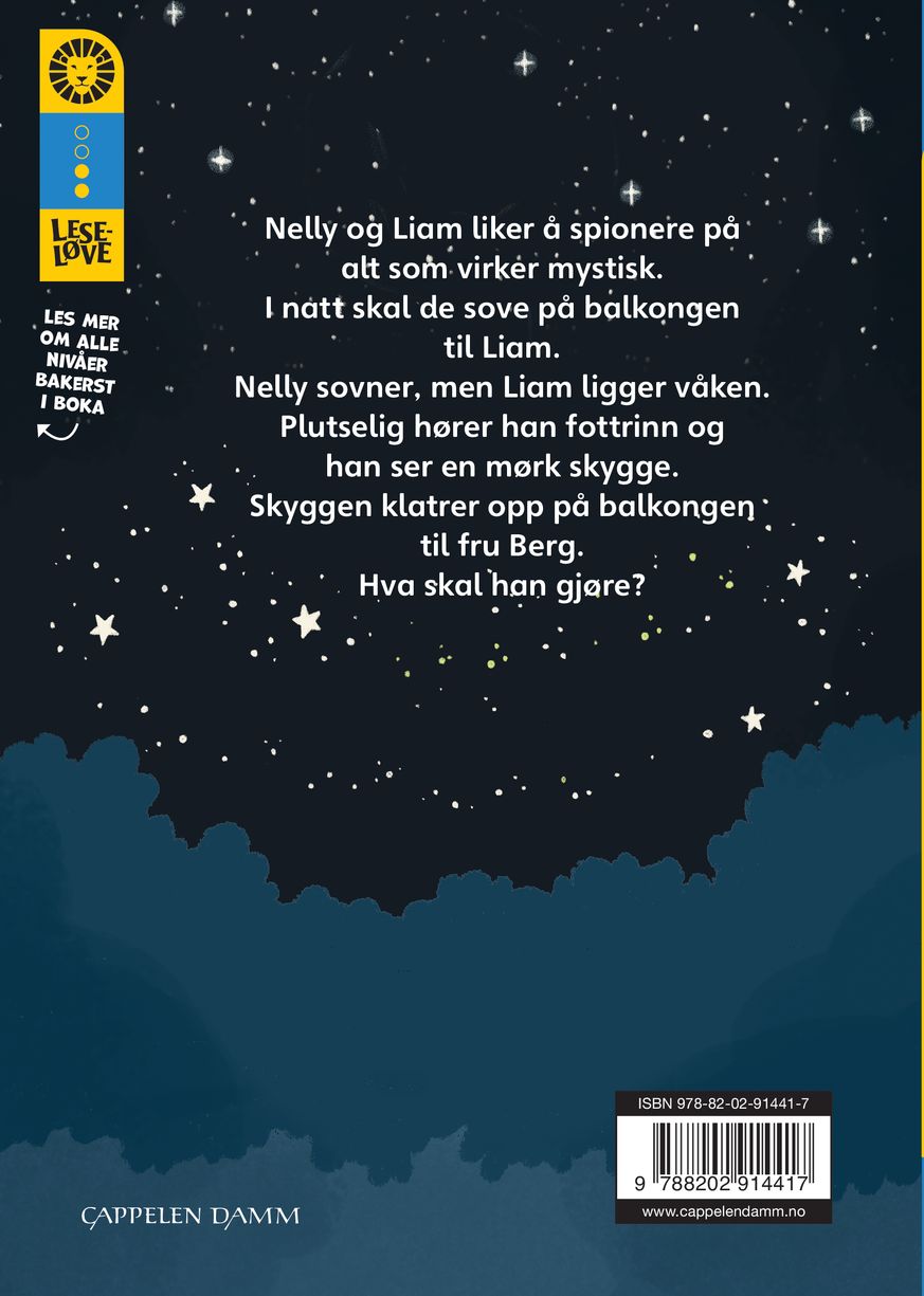 Spioner i mørket