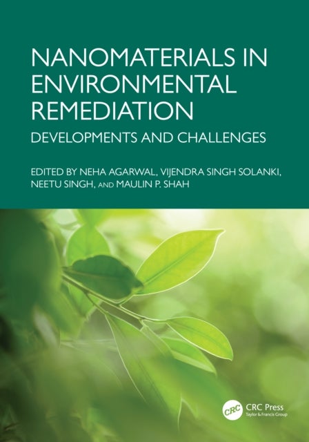 Nanomaterials in Environmental Remediation - Developments and Challenges