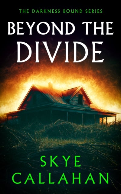 Beyond the Divide - A paranormal mystery of ghost hunters and a family haunted at home