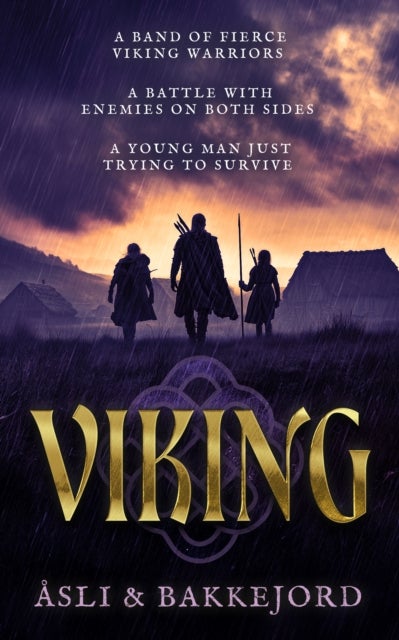 Viking - A Viking Historical Fiction Adventure