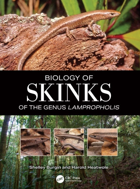 The Biology of Skinks of the Genus Lampropholis
