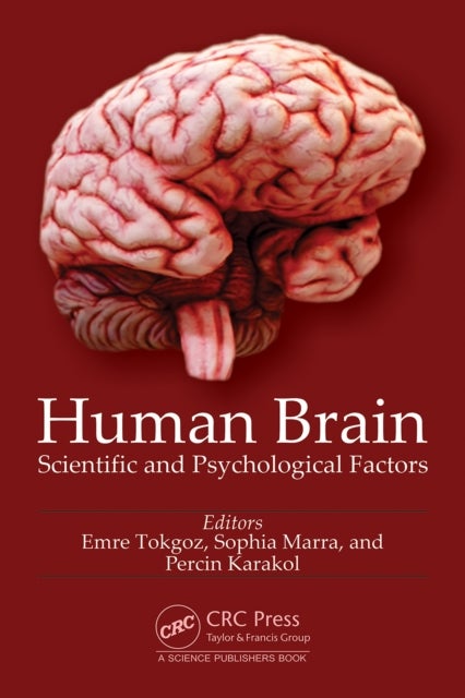 Human Brain
