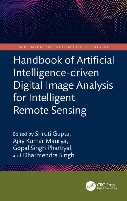 Handbook of Artificial Intelligence-driven Digital Image Analysis for Intelligent Remote Sensing