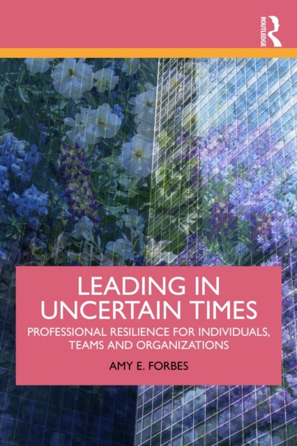 Leading in Uncertain Times - Professional Resilience for Individuals, Teams and Organizations