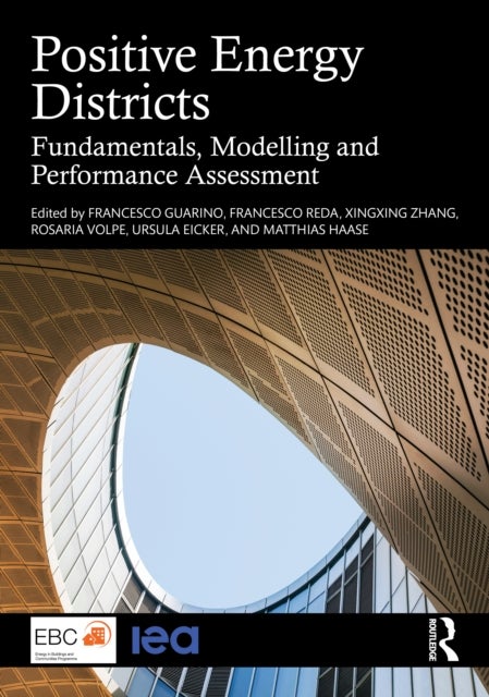 Positive Energy Districts