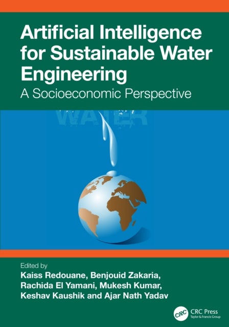Artificial Intelligence for Sustainable Water Engineering - A Socioeconomic Perspective