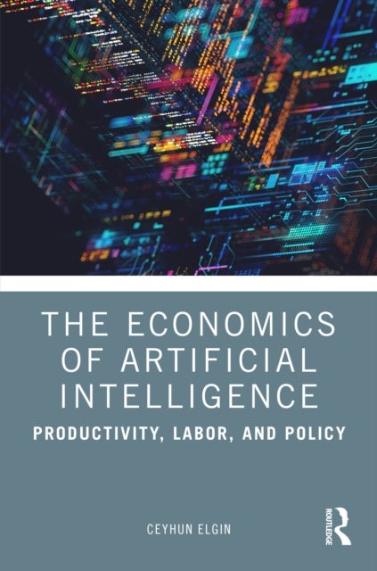 The Economics of Artificial Intelligence - Productivity, Labor, and Policy
