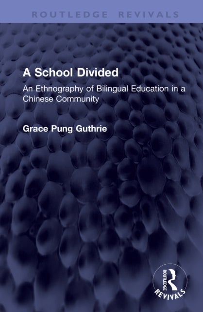 A School Divided - An Ethnography of Bilingual Education in a Chinese Community