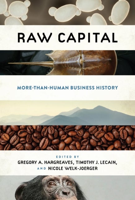 Raw Capital - More-Than-Human Business History