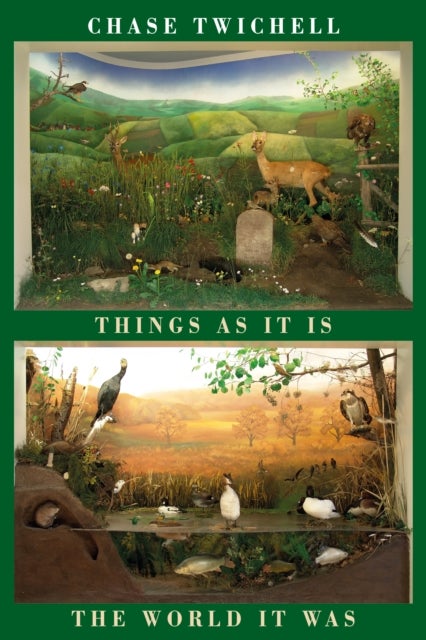 Things as It Is / The World It Was