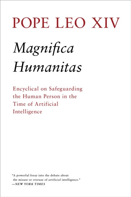 Magnifica Humanitas - Encylical On Safeguarding The Human Person In The Time of Artificial Intelligence
