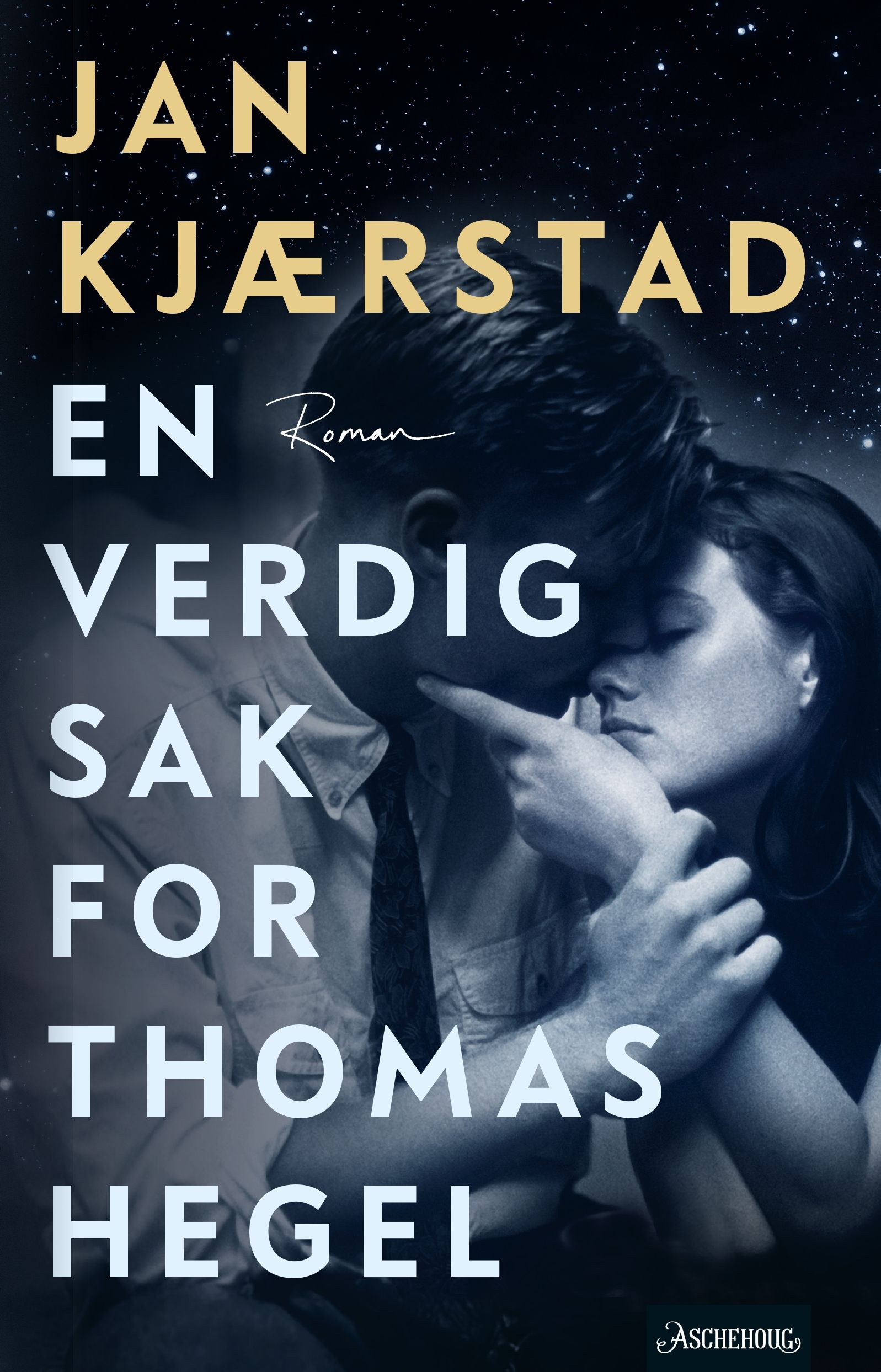 En verdig sak for Thomas Hegel - roman