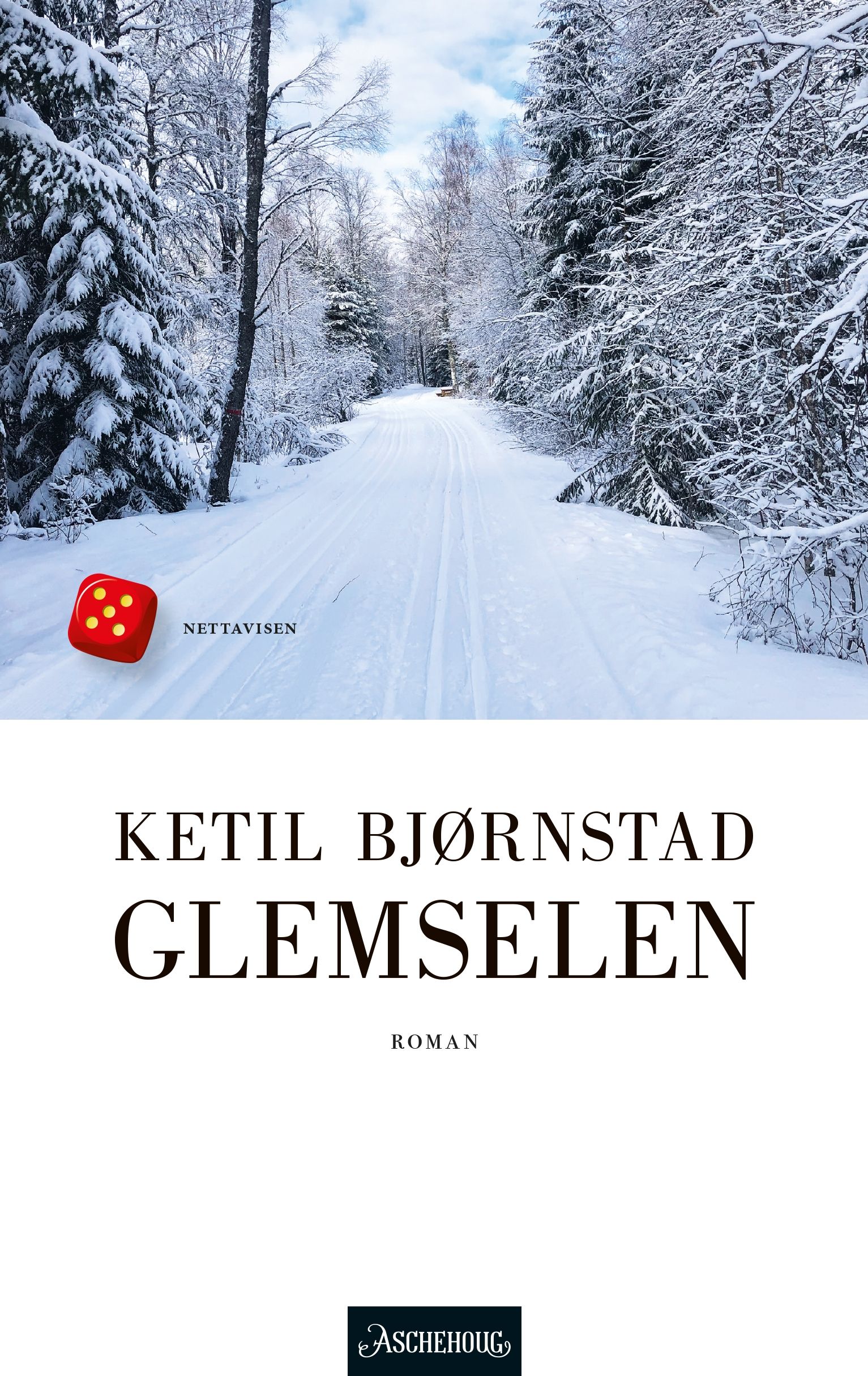 Glemselen - roman