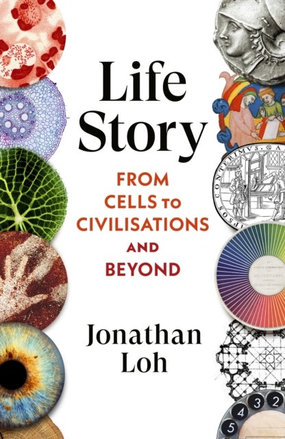 Life Story - From Cells to Civilisations and Beyond