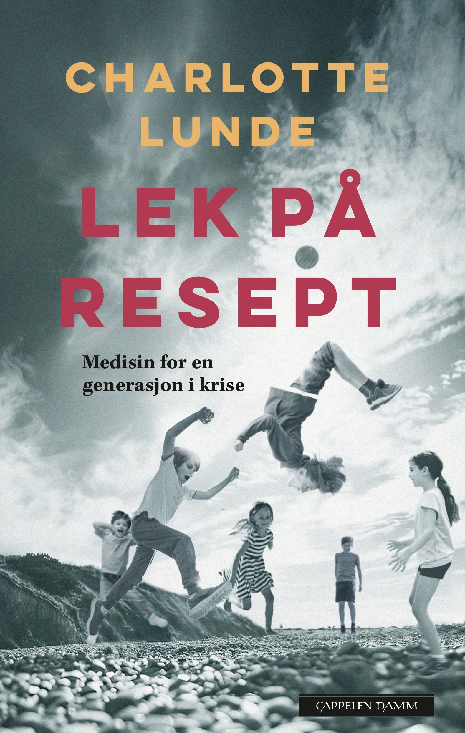 Lek på resept - medisin for en generasjon i krise