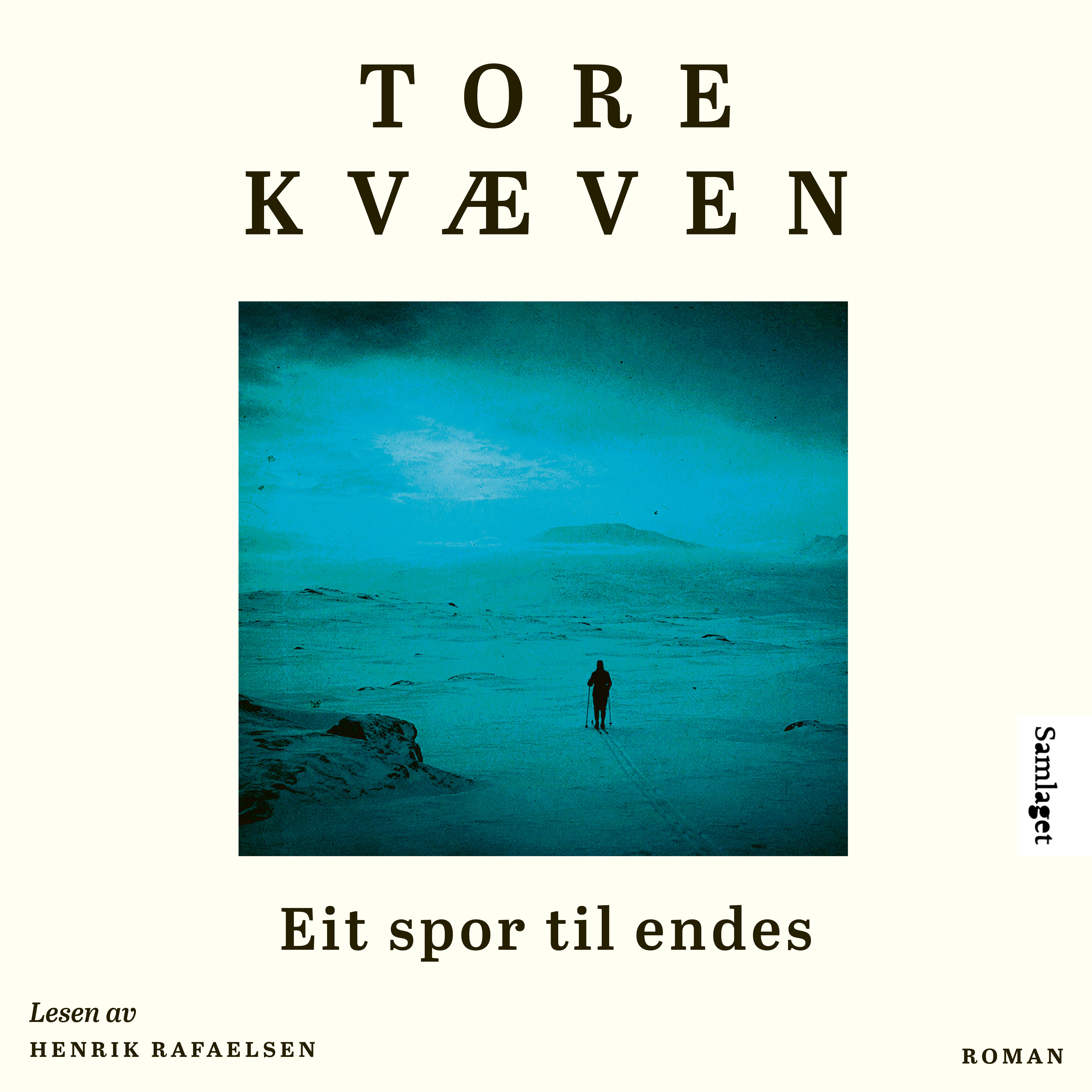 Eit spor til endes - roman