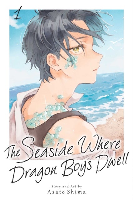 The Seaside Where Dragon Boys Dwell, Vol. 1