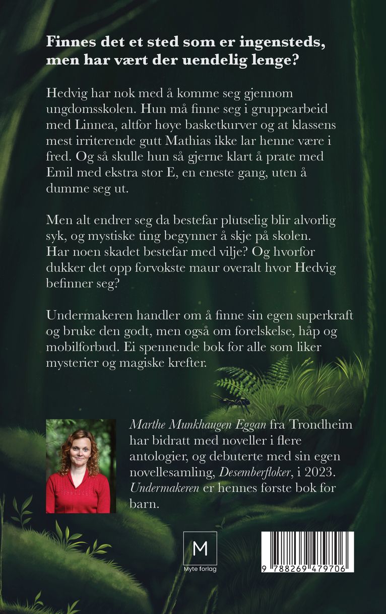 Undermakeren