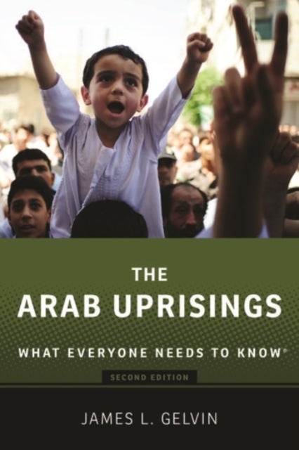 The Arab Uprisings - What Everyone Needs to Know®