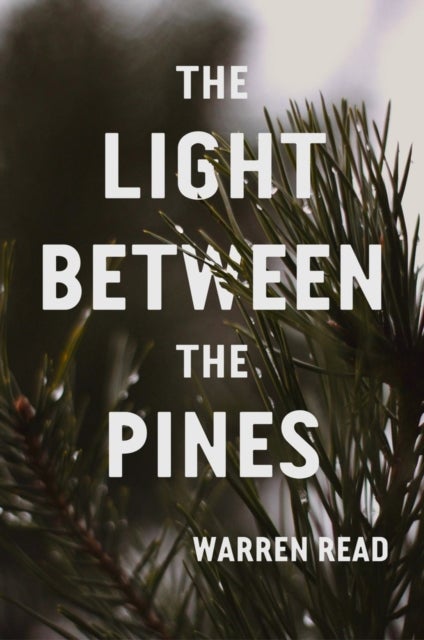 The Light Between Pines