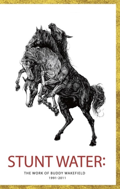 Stunt Water - The Work of Buddy Wakefield 1991-2011 (2nd Edition, Revised)