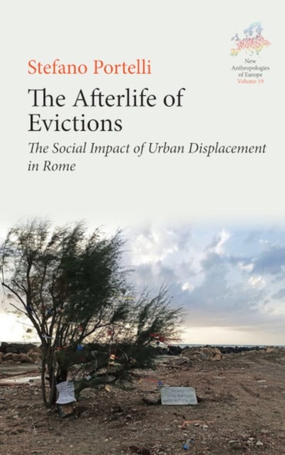The Afterlife of Evictions - The Social Impact of Urban Displacement&nbsp;in Rome