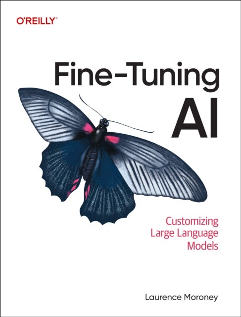Fine-Tuning AI - Customizing Large Language Models