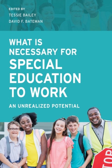 What Is Necessary for Special Education to Work - An Unrealized Potential