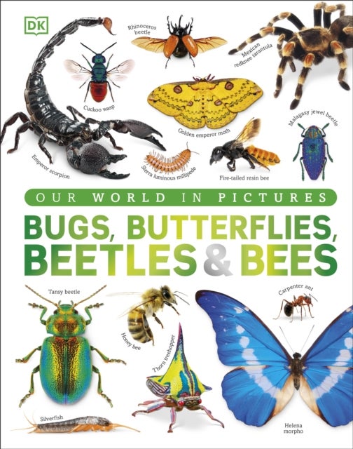 Bugs, Butterflies, Beetles and Bees - A Visual Bug and Insect Encyclopedia for Kids