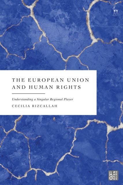 The European Union and Human Rights - Understanding a Singular Regional Player