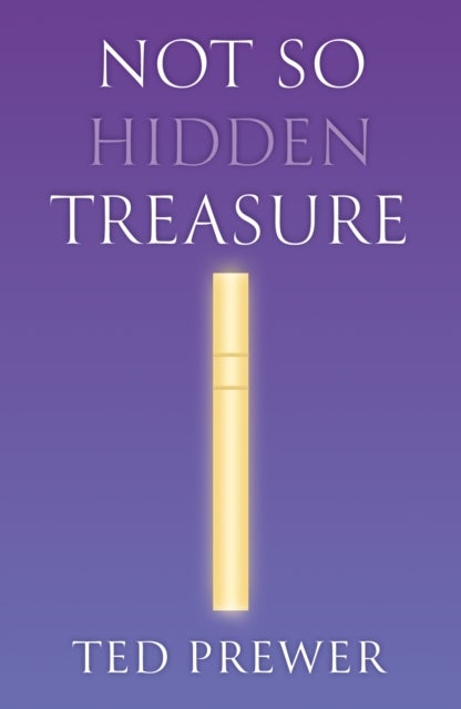 Not So Hidden Treasure