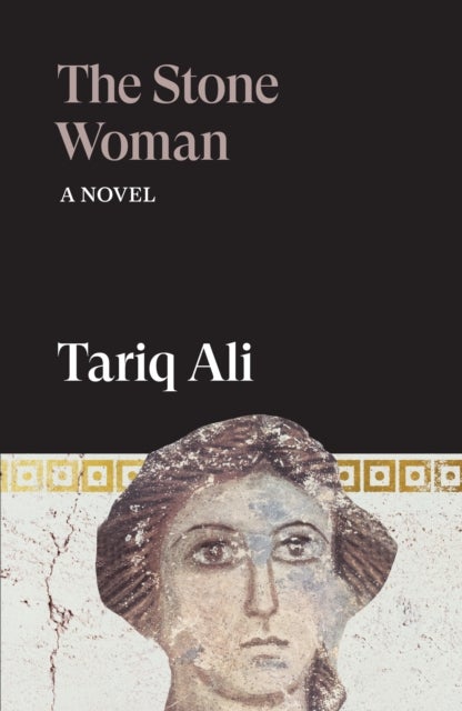 The Stone Woman - A Novel