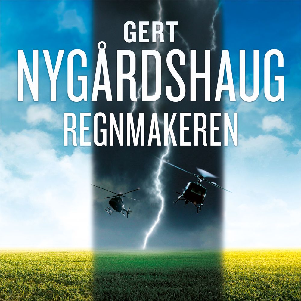Regnmakeren - roman