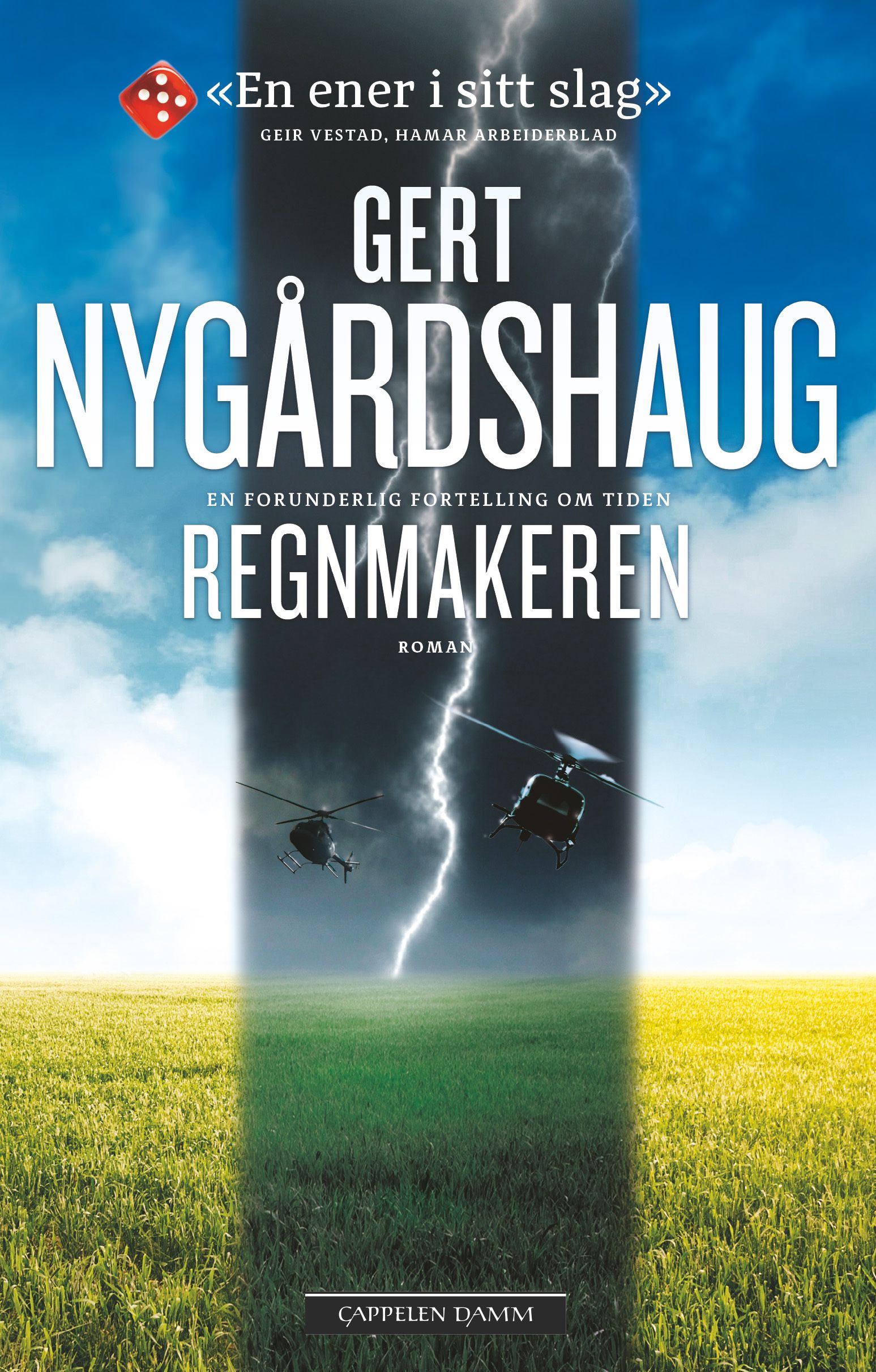 Regnmakeren - roman 2019