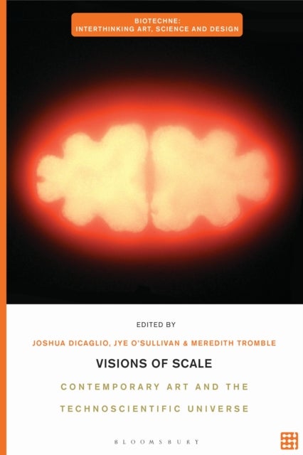 Visions of Scale - Contemporary Art and the Technoscientific Universe