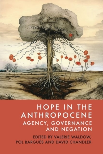Hope in the Anthropocene - Agency, Governance and Negation