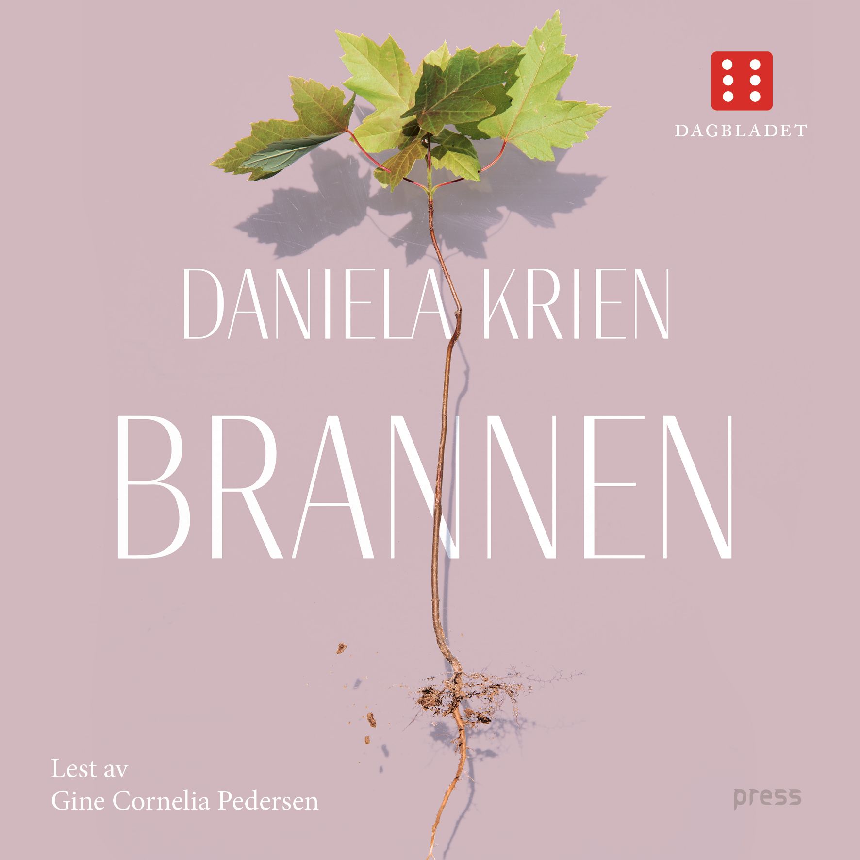 Brannen