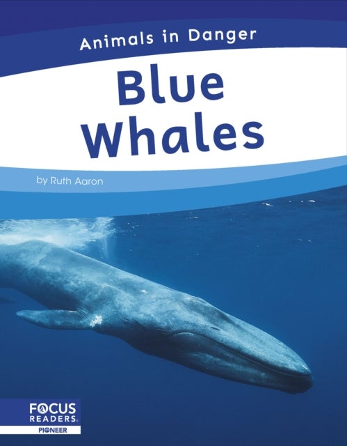 Blue Whales