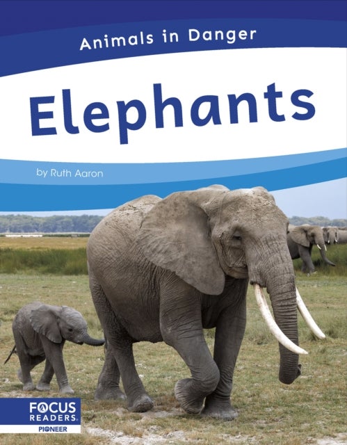 Elephants