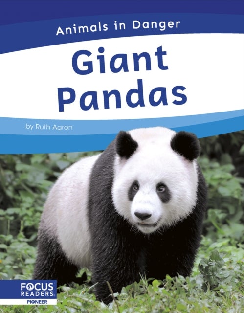 Giant Pandas