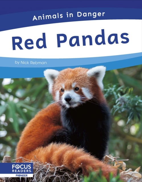 Red Pandas