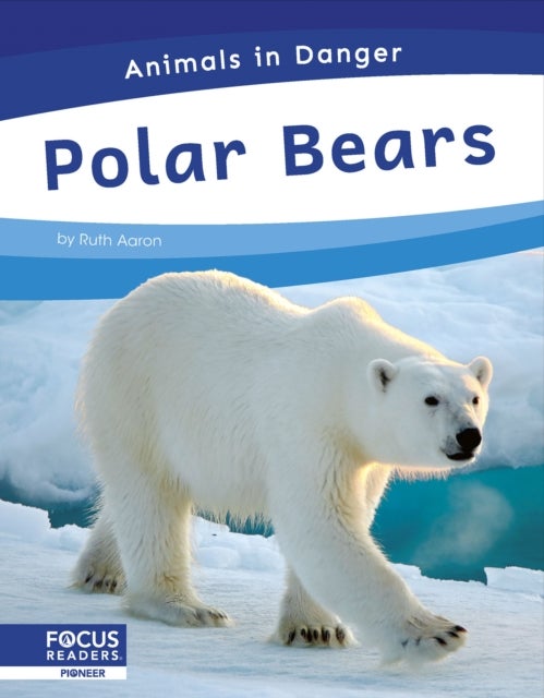 Polar Bears
