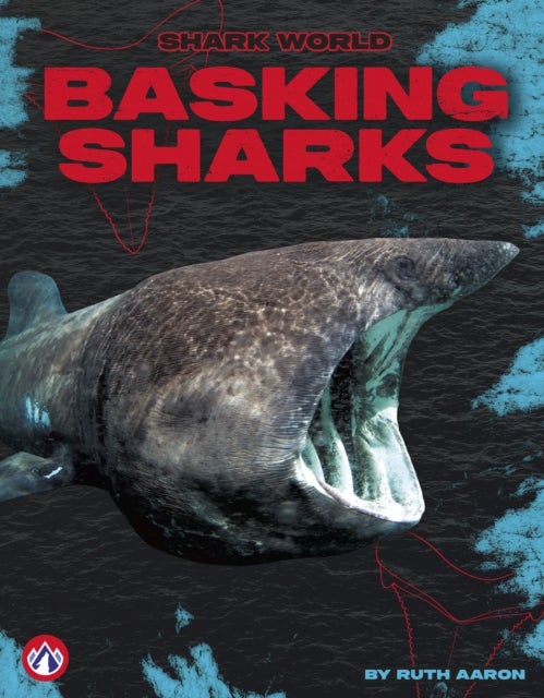 Basking Sharks