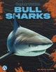 Bull Sharks