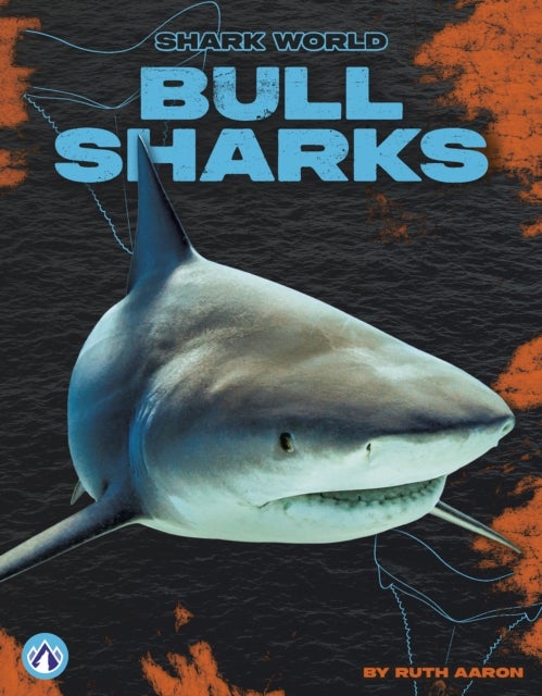 Bull Sharks