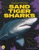 Sand Tiger Sharks