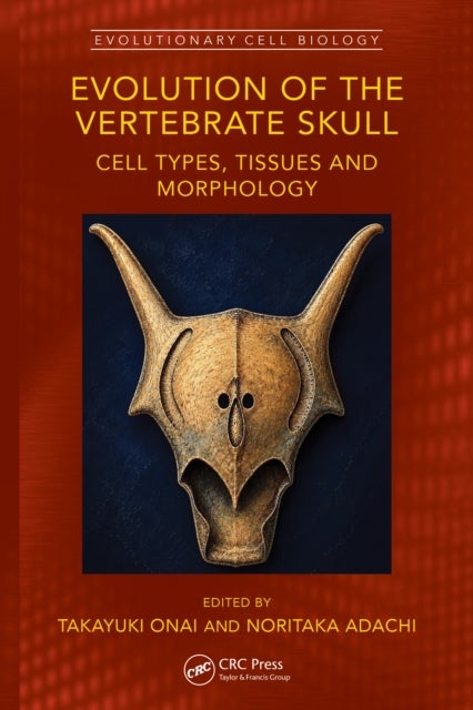 Evolution of the Vertebrate Skull