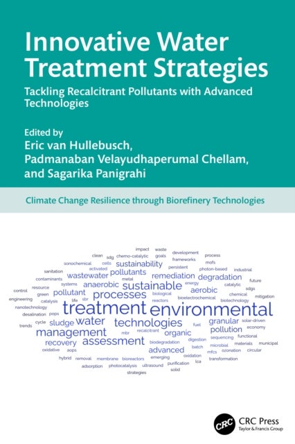 Innovative Water Treatment Strategies - Tackling Recalcitrant Pollutants with Advanced Technologies